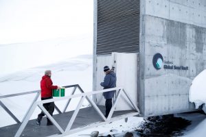 Entrada a la Bóveda de Semillas de Svalbard.