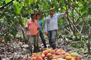 Fundalianza ha ejecutado un total de 205 proyectos en 124 municipios en 11 departamentos del país, abarcando trabajos en reforestación, sistemas silvopastoriles, así como siembra de palma, cacao y banano, que han cubierto 34.460 hectáreas.
