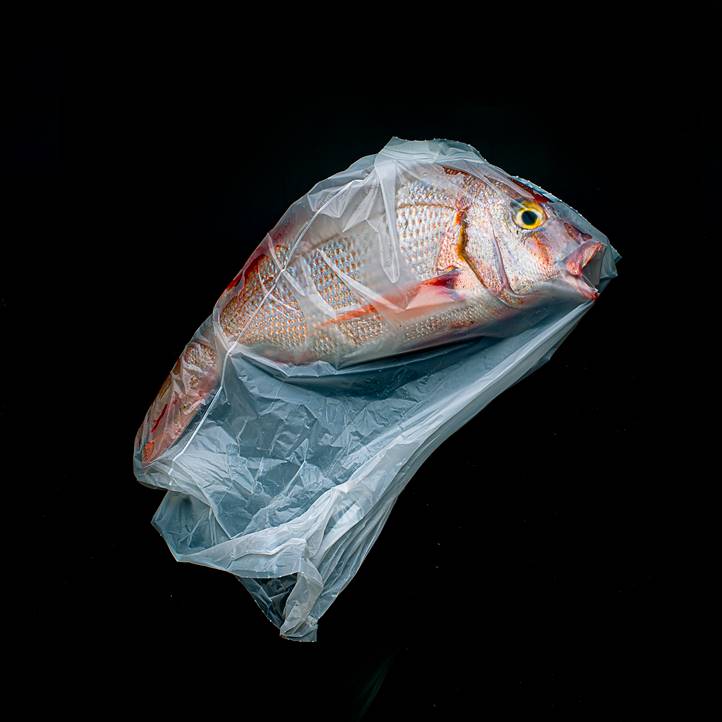 Foto de Jorge Reynal, Argentina, Categoría Ganadora, Competencia Abierta