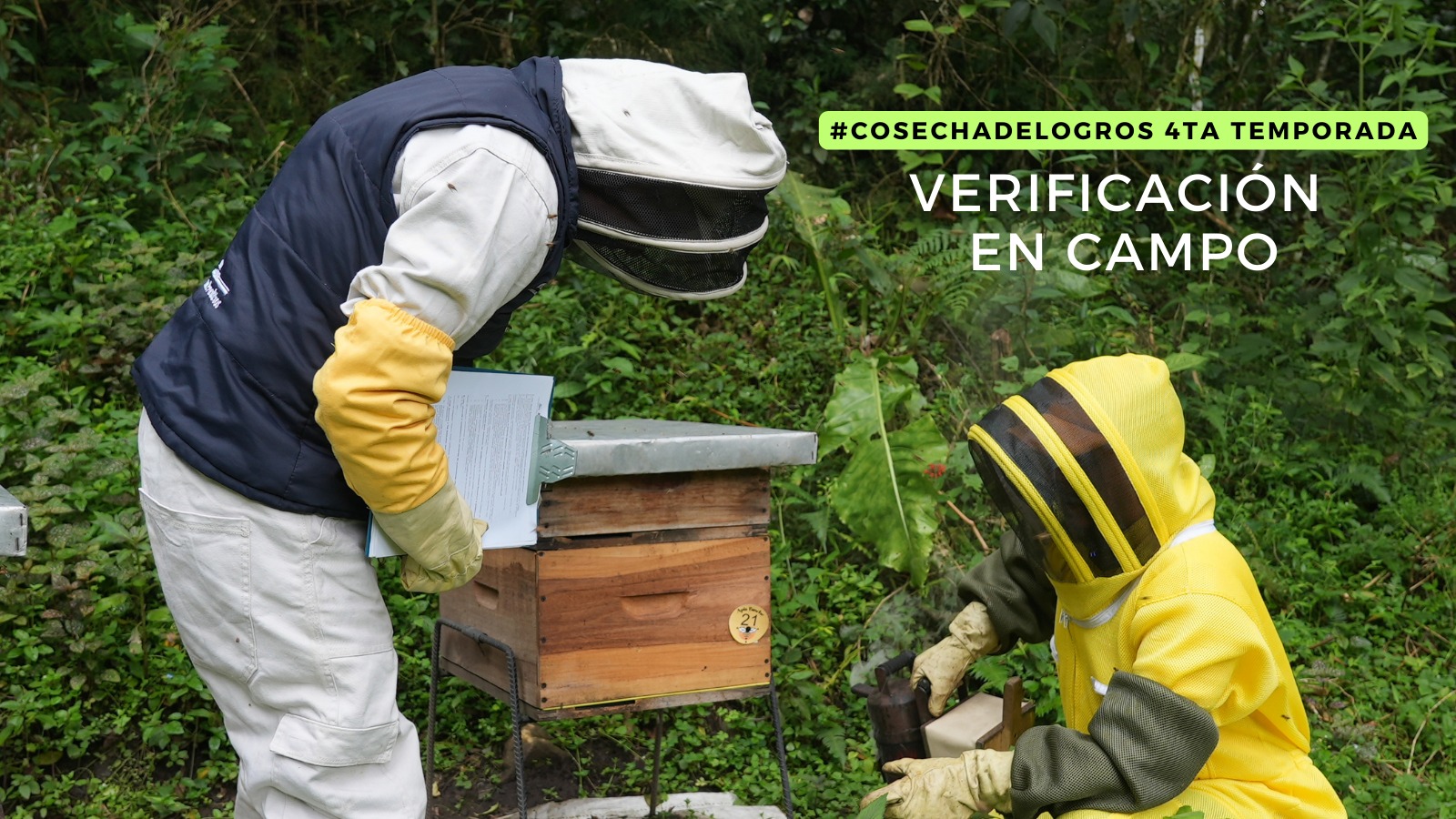 Verificación en campo